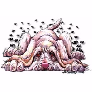 Mugg, Rug dog – Spinone