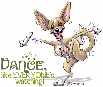 Tygkasse, Dance like… – Chihuahua
