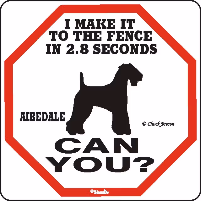 Skylt, 2.8 seconds – Airedaleterrier