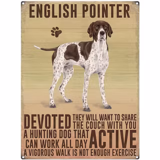 Skylt, metall mini – Pointer