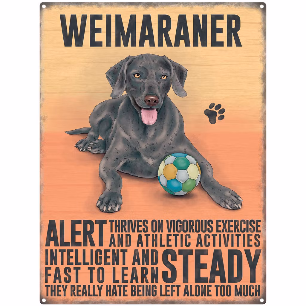 Skylt, metall mini – Weimaraner