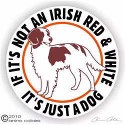 Dekal, If it's not a – Irländsk röd och vit setter