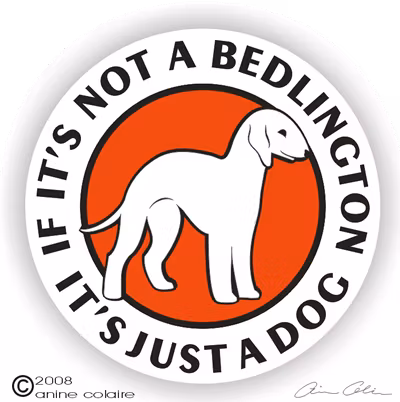 Dekal, If it's not a – Bedlingtonterrier