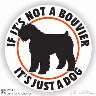 Dekal, If it's not a – Bouvier des flandres
