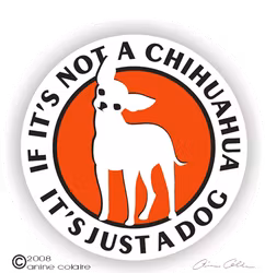 Dekal, If it's not a – Chihuahua, korthårig
