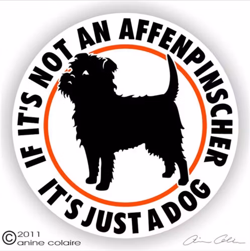 Dekal, If it's not an – Affenpinscher
