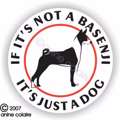 Dekal, If it's not a – Basenji
