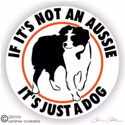 Dekal, If it's not an – Australian shepherd, herd
