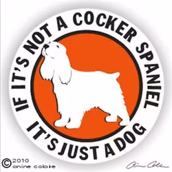 Dekal, If it's not a – Cocker spaniel, ljust beige