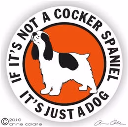 Dekal, If it's not a – Cocker spaniel, vit o svart