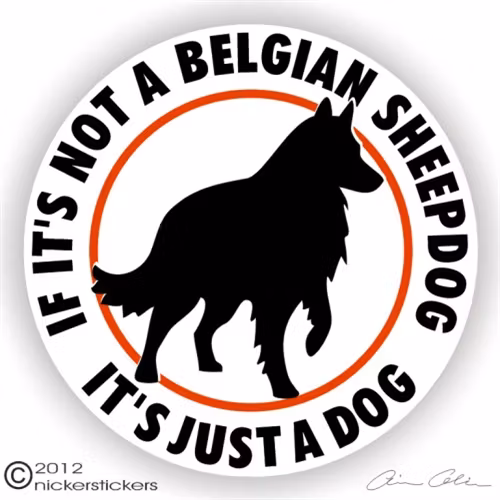 Dekal, If it's not a – Groenendael