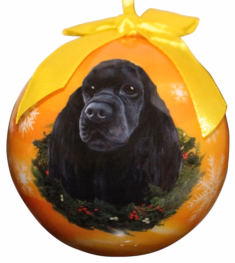 Julkula – Amerikansk cocker spaniel