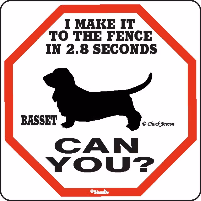 Skylt, 2.8 seconds – Basset hound