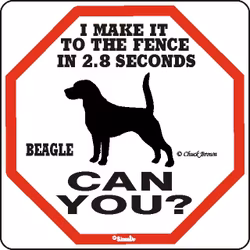 Skylt, 2.8 seconds – Beagle