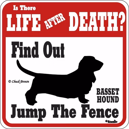 Skylt, Is there Life after Death? – Basset hound