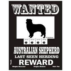 Skylt, Wanted – Australian shepherd