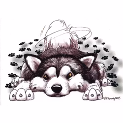 Dekal, Rug dig – Alaskan malamute