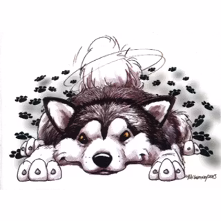 Dekal, Rug dig – Alaskan malamute