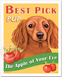 Konsttryck Krista Brooks, Best Pick Pup – Tax