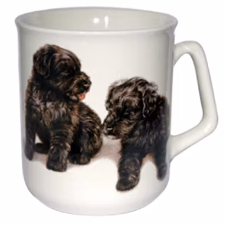 Mugg, valp – Bouvier des flandres