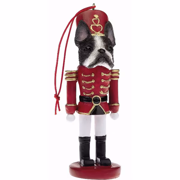Nötknäppare – Bostonterrier
