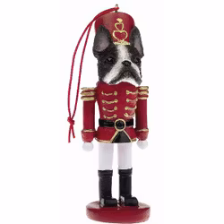 Nötknäppare – Bostonterrier