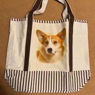 Tygväska, canvas – Welsh corgi