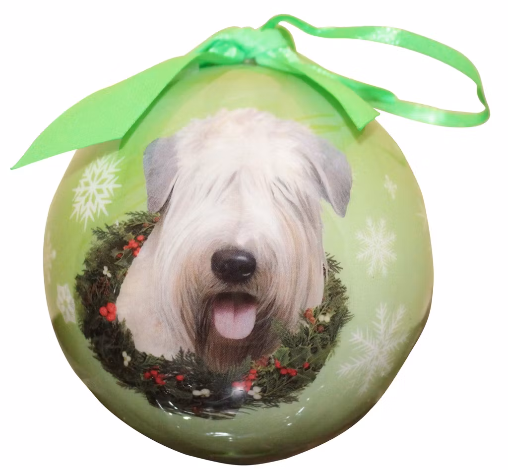 Julkula – Irish softcoated wheaten terrier