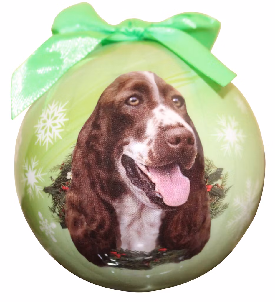 Julkula – Engelsk springer spaniel