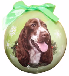 Julkula – Engelsk springer spaniel