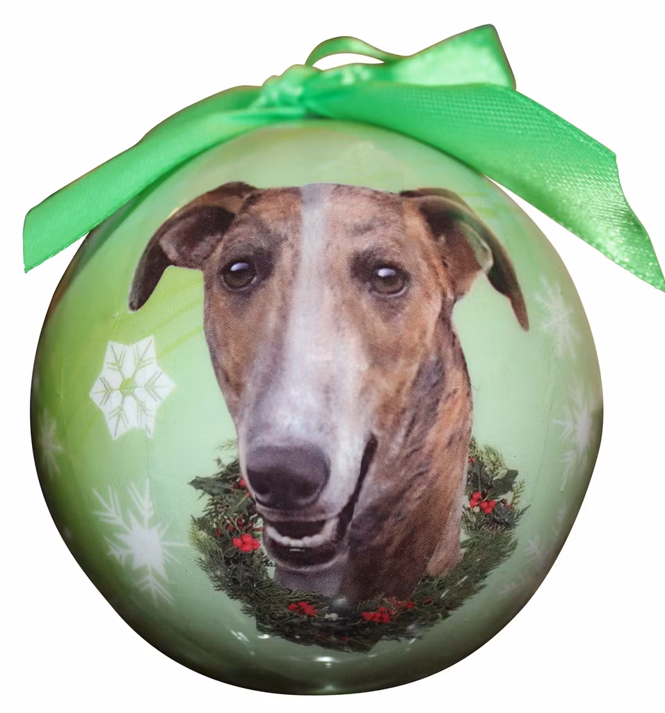 Julkula – Greyhound, brindle