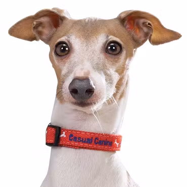 Halsband Casual Canine Denim