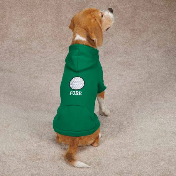 Hundtröja, hoodie – Fore