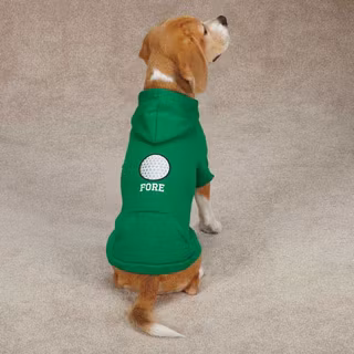 Hundtröja, hoodie – Fore