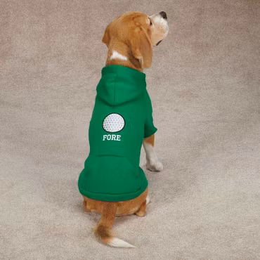 Hundtröja, hoodie – Fore