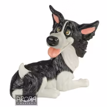 Figurin Arora, Brook – Border collie