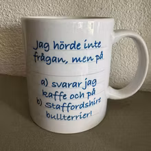 Mugg, Frågan – Staffordshire bullterrier