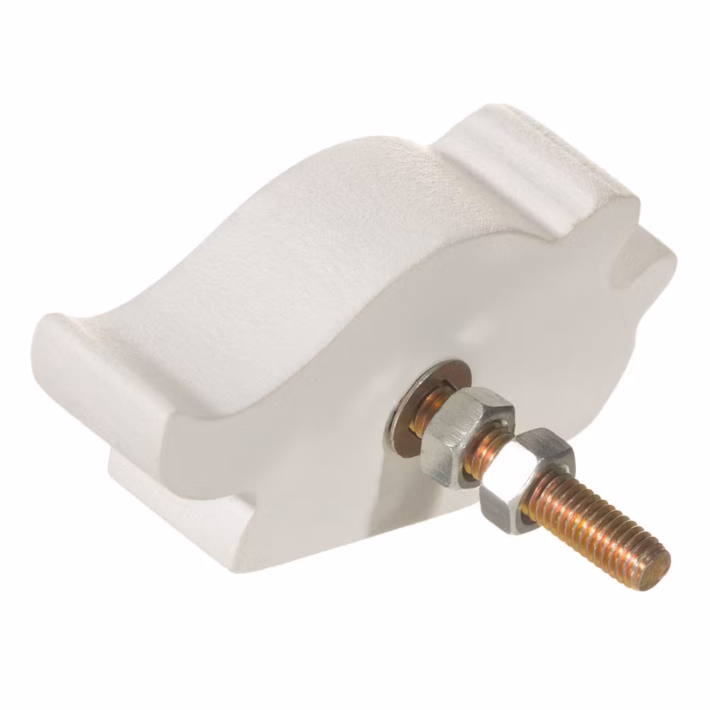 Knopp – Triceratops