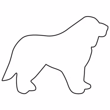 Pepparkaksform – Sankt bernhardshund