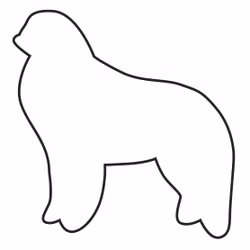 Pepparkaksform – Kuvasz