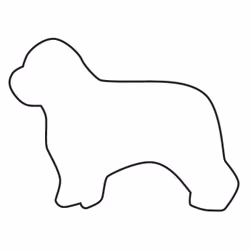 Pepparkaksform – Polski owczarek nizinny