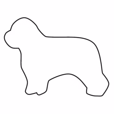 Pepparkaksform – Polski owczarek nizinny