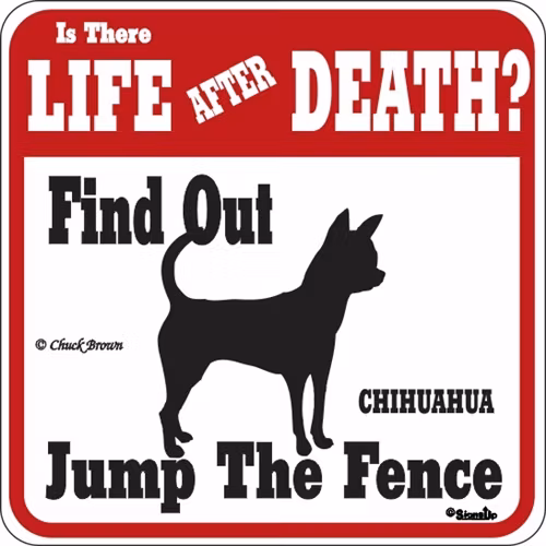 Skylt, Is there Life after Death? – Chihuahua