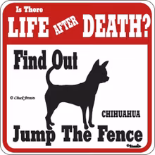 Skylt, Is there Life after Death? – Chihuahua