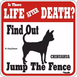 Skylt, Is there Life after Death? – Chihuahua
