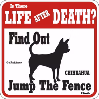 Skylt, Is there Life after Death? – Chihuahua