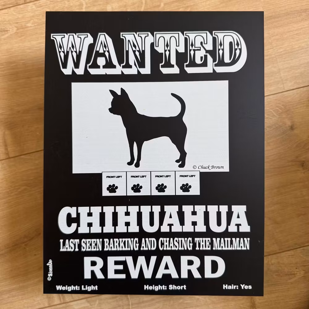 Skylt, Wanted – Chihuahua