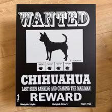 Skylt, Wanted – Chihuahua