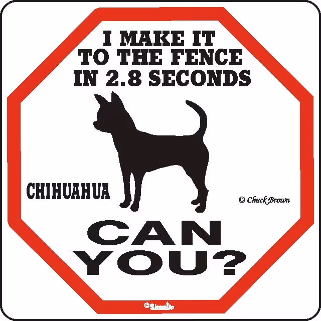 Skylt, 2.8 seconds – Chihuahua