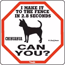 Skylt, 2.8 seconds – Chihuahua